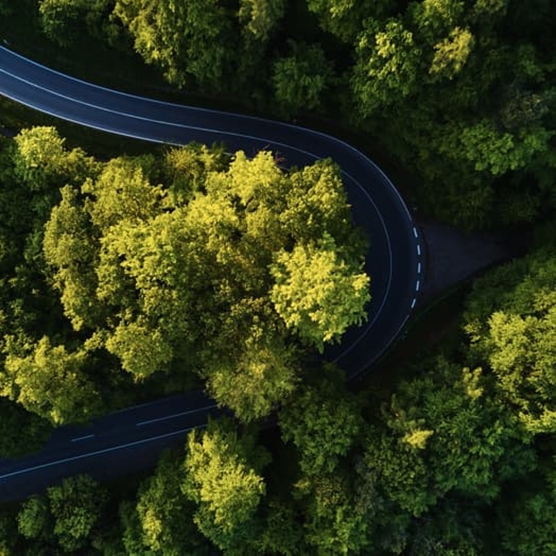 Sustainability. Sustainability.