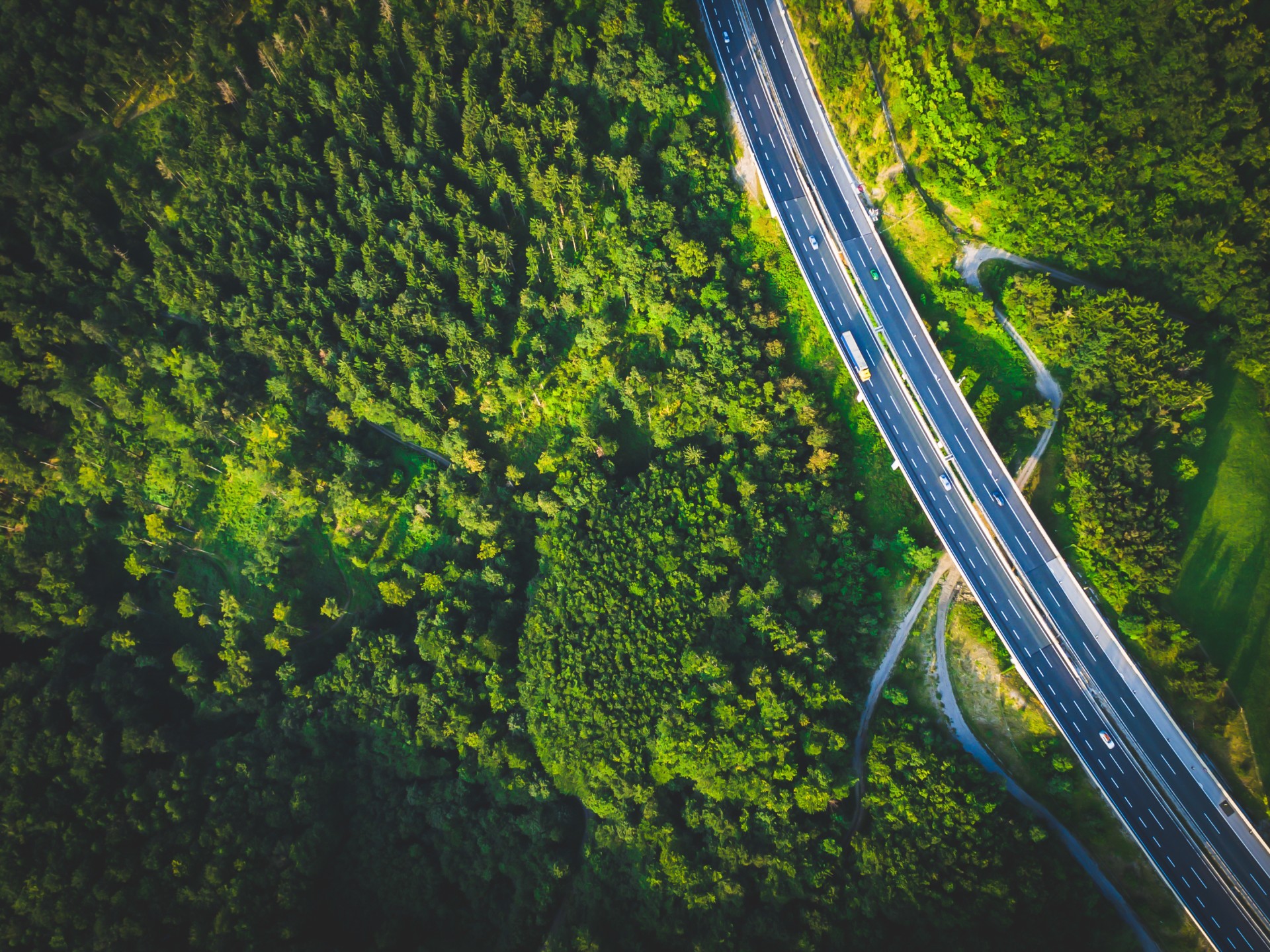 Green highway Green highway
