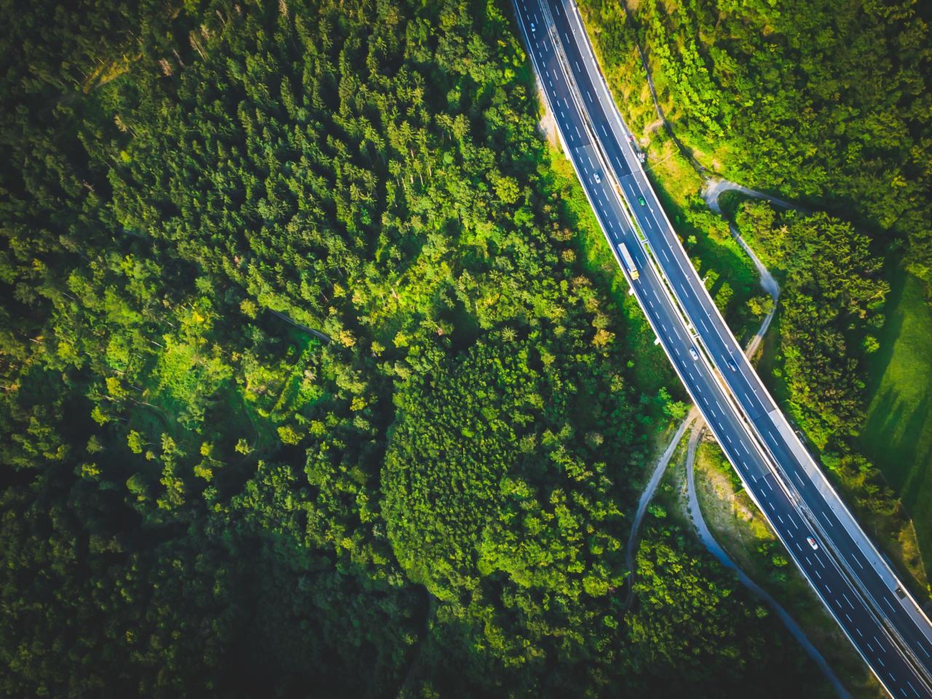 Motorways surronded by green forest