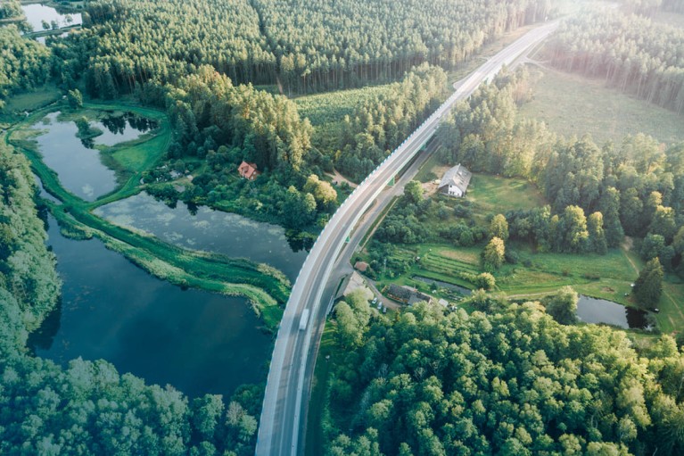 Street surrounded by forest in Poland.