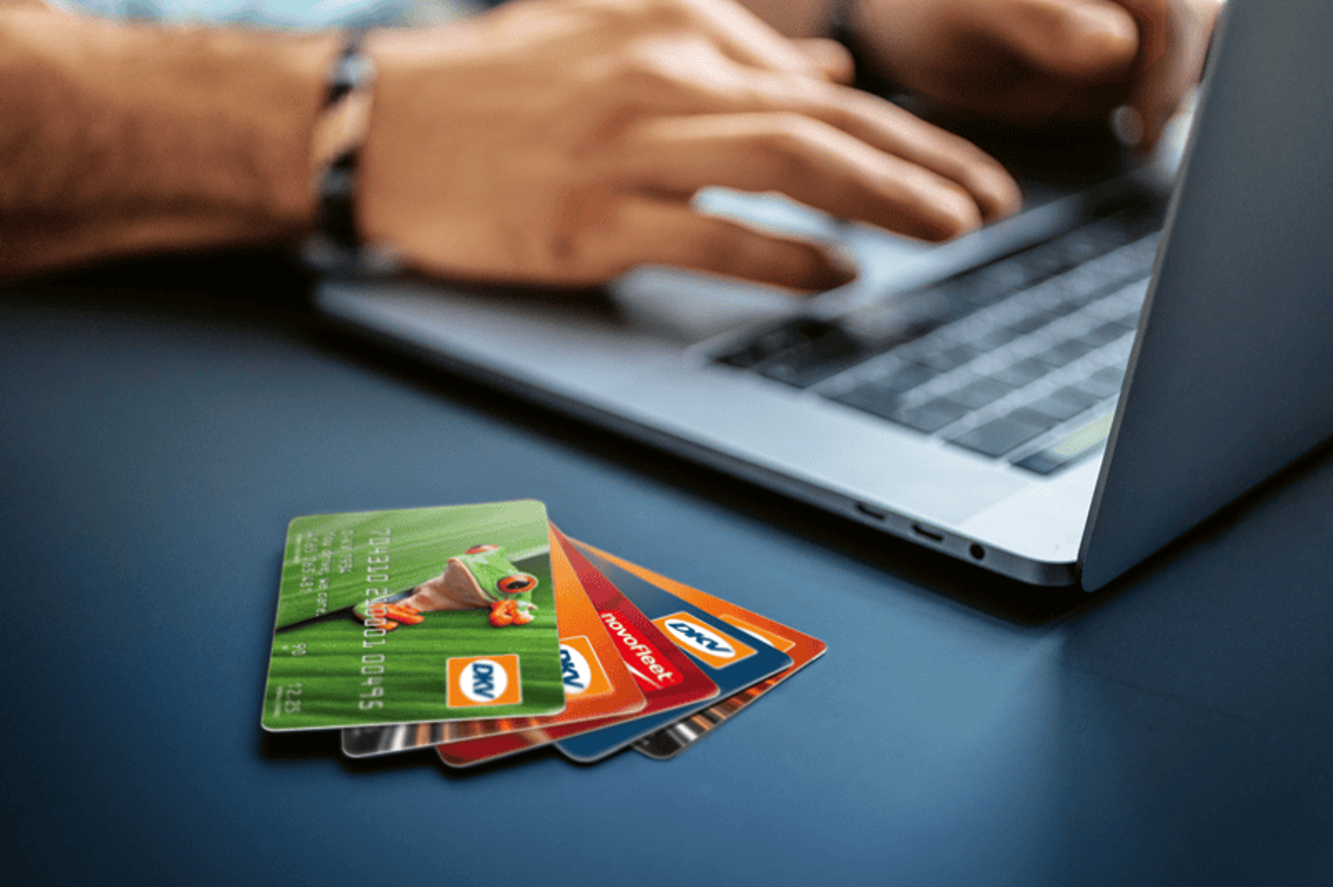 Cards Cards