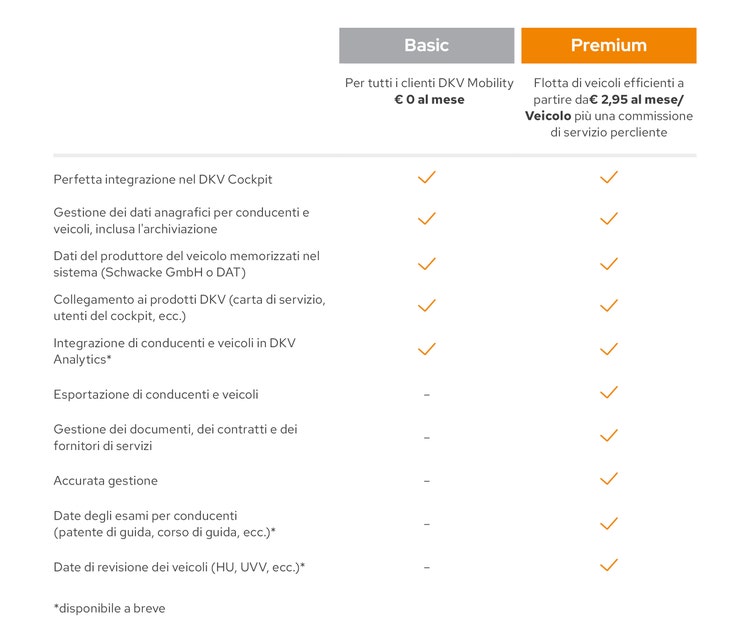 Funzionalità di DKV Fleet Management