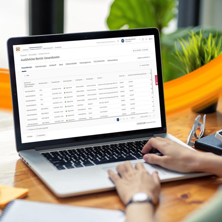 Portal client DKV Cockpit